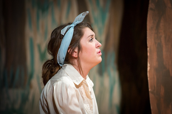 2015-05-08_SEHS Into The Woods-30