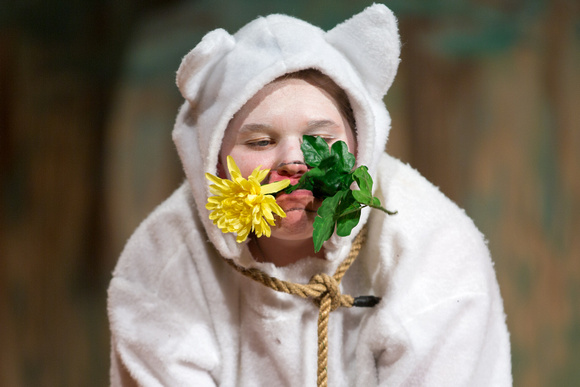 2015-05-08_SEHS Into The Woods-34