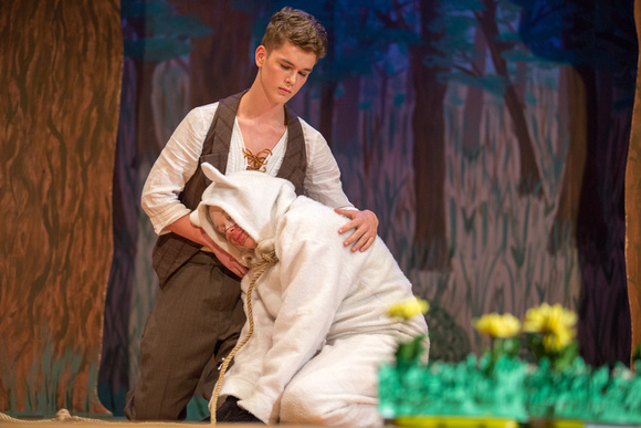 2015-05-08_SEHS Into The Woods-50