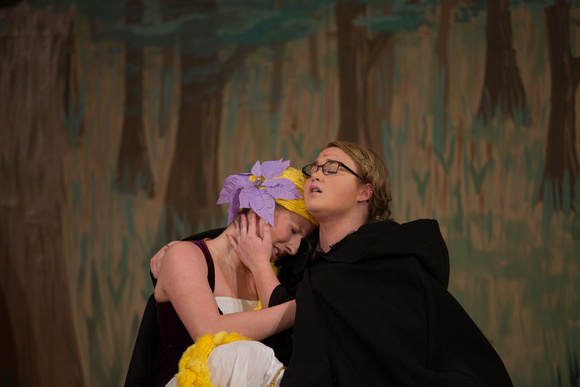 2015-05-08_SEHS Into The Woods-124