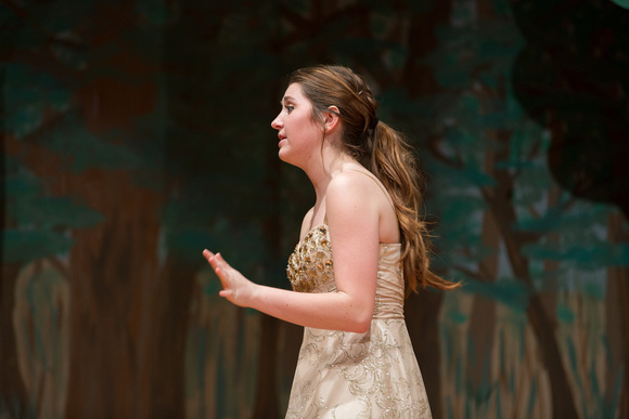 2015-05-08_SEHS Into The Woods-128