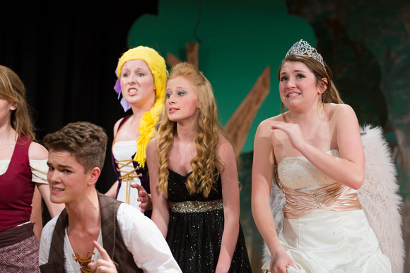 2015-05-08_SEHS Into The Woods-157