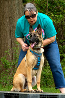 Group Obedience Training 05-16-21