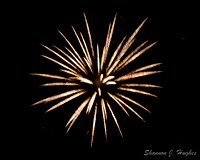 2011-08-20_Carnation Day Fireworks (51 of 44)